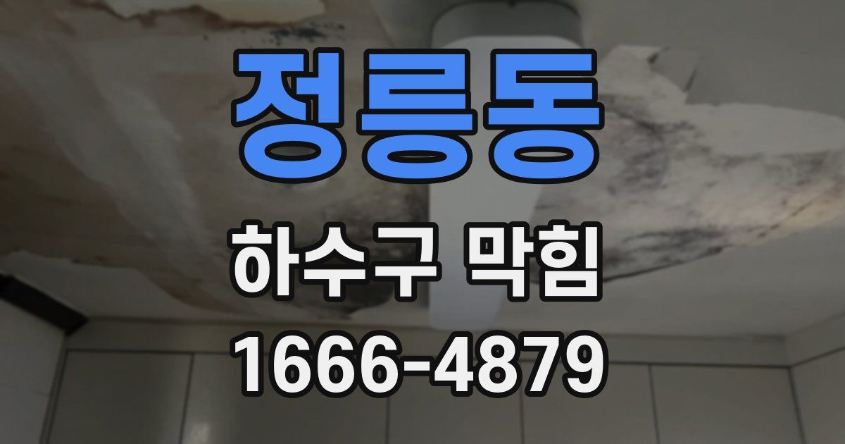 정릉동 하수구 막힘