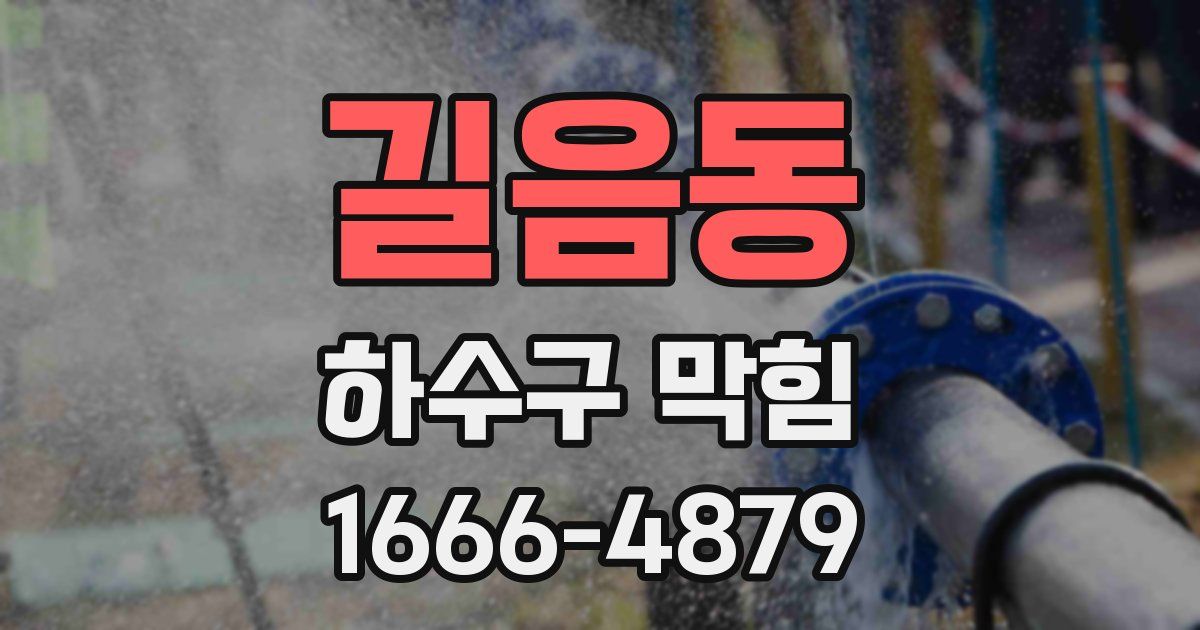 길음동 하수구 막힘