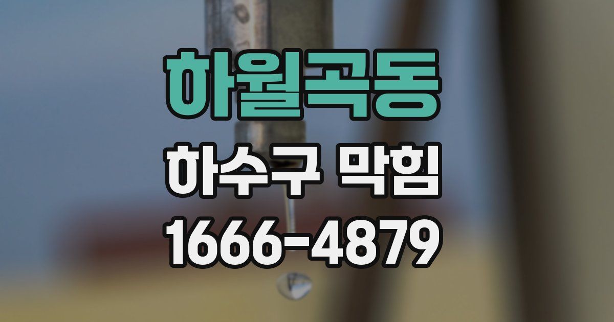 하월곡동 하수구 막힘