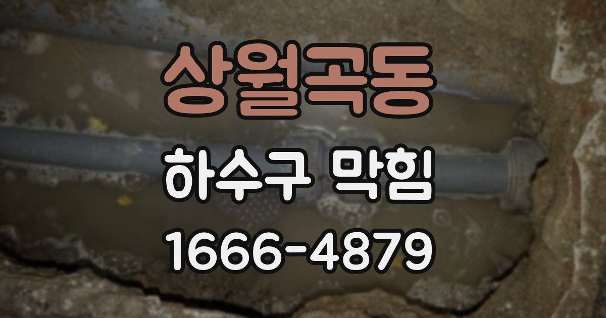 상월곡동 하수구 막힘