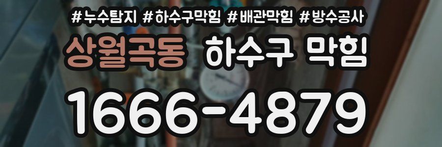 상월곡동 하수구 막힘