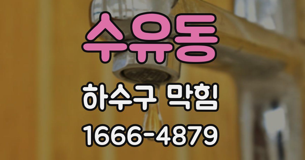 수유동 하수구 막힘