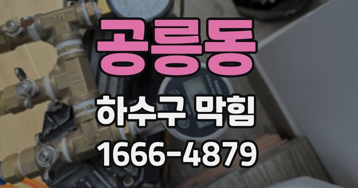 공릉동 하수구 막힘