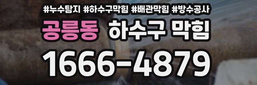 공릉동 하수구 막힘