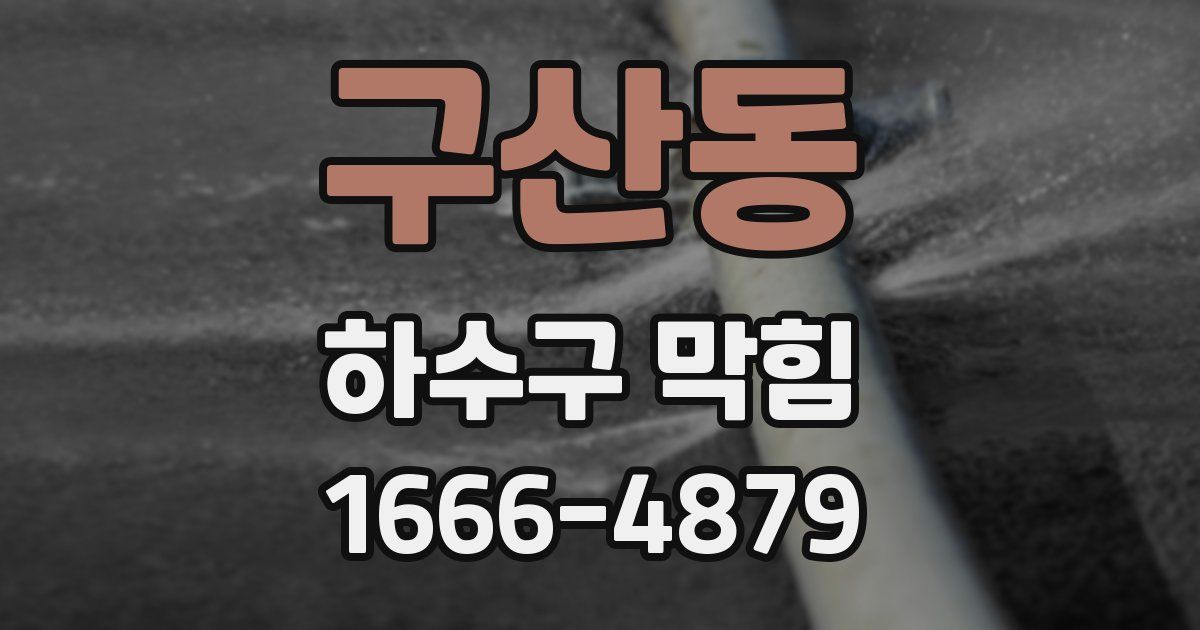 구산동 하수구 막힘