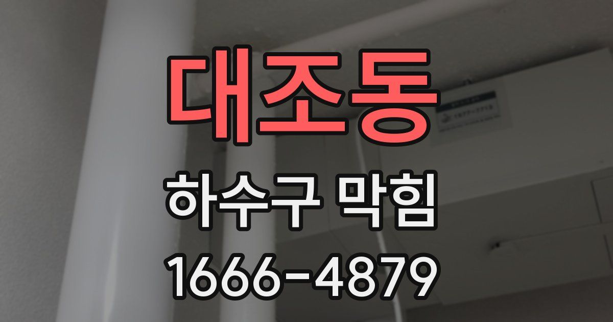 대조동 하수구 막힘