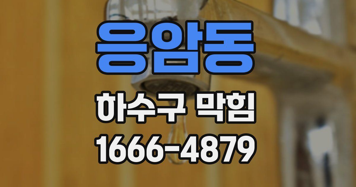 응암동 하수구 막힘