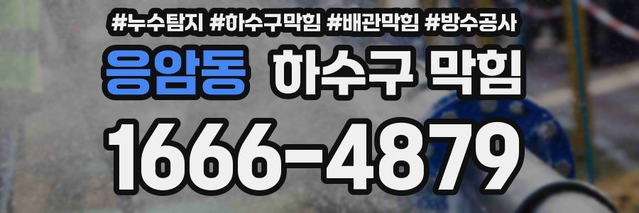 응암동 하수구 막힘