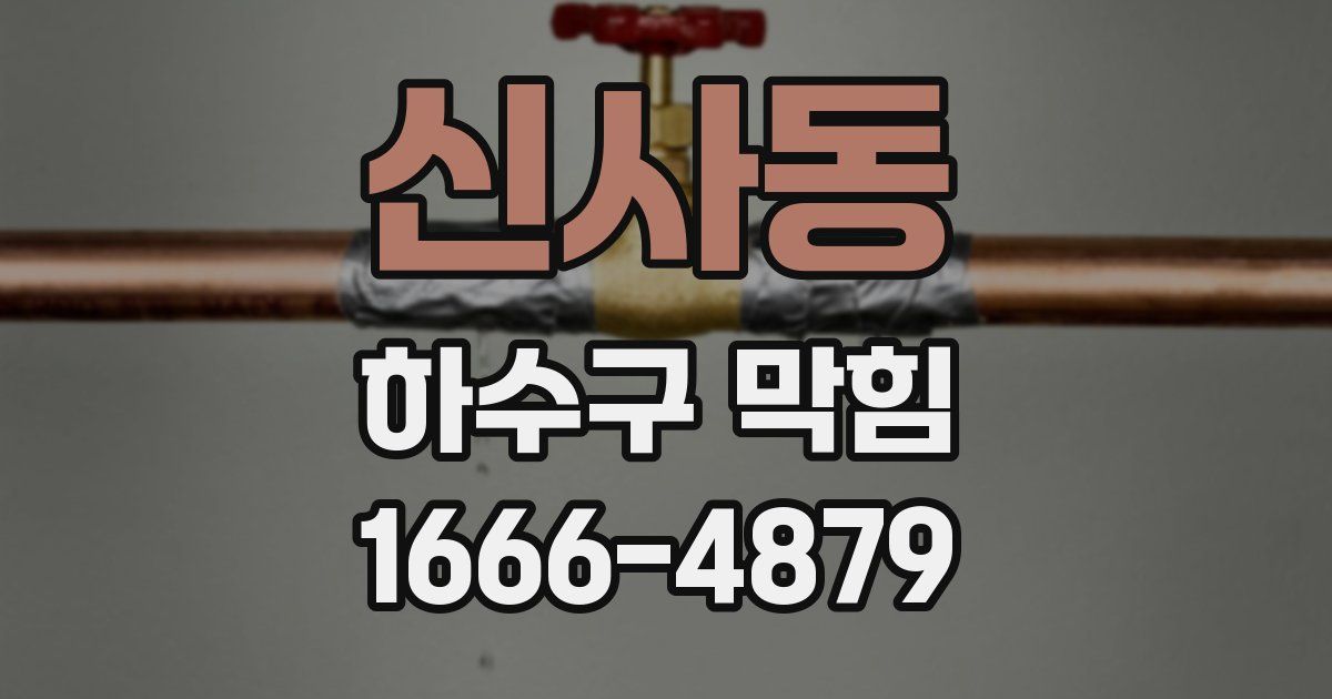 신사동 하수구 막힘