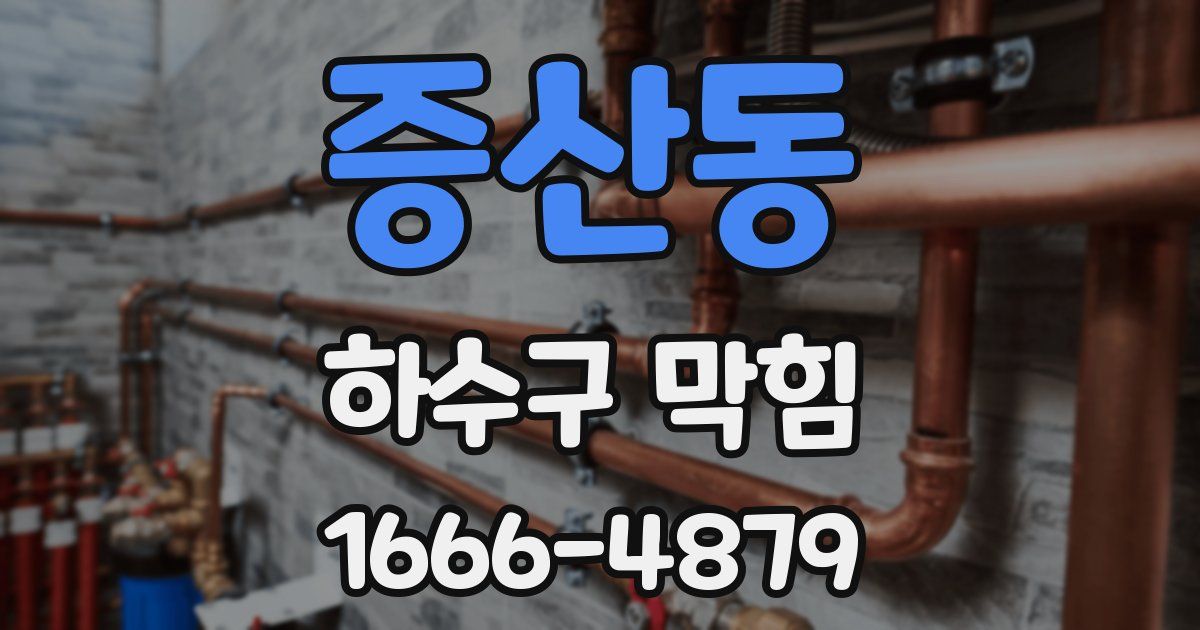 증산동 하수구 막힘