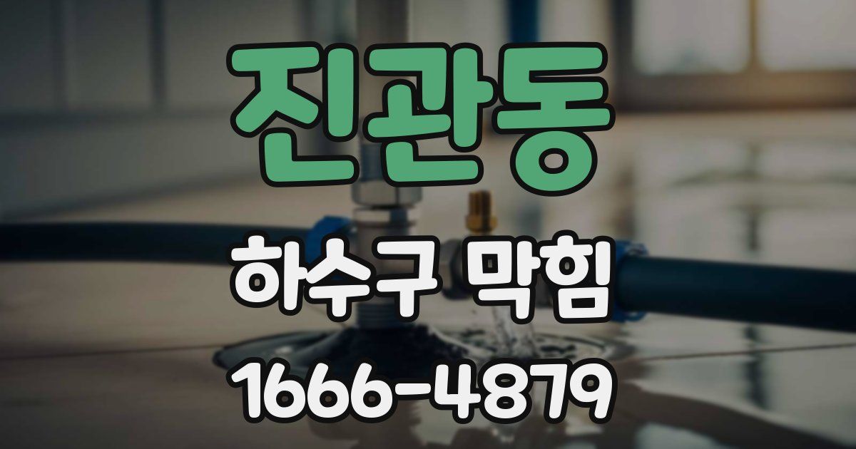 진관동 하수구 막힘