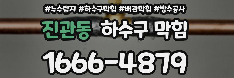 진관동 하수구 막힘