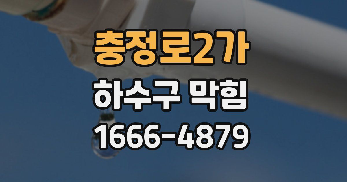 충정로2가 하수구 막힘