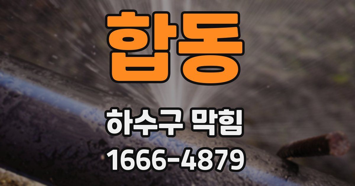 합동 하수구 막힘