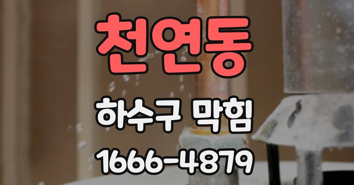 천연동 하수구 막힘