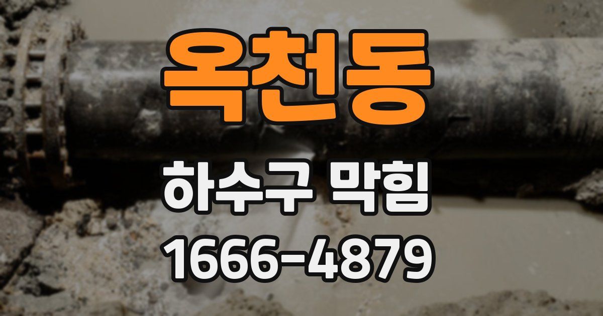 옥천동 하수구 막힘