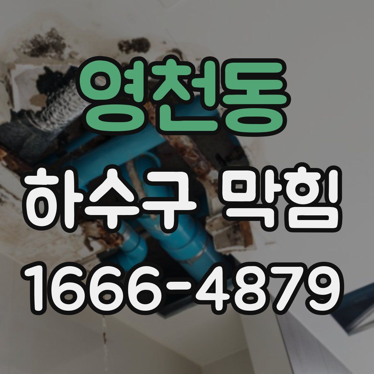 영천동 하수구 막힘
