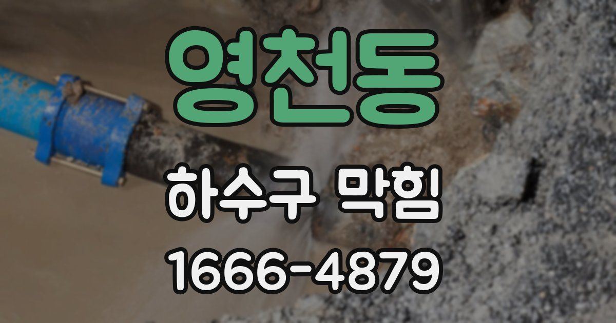 영천동 하수구 막힘