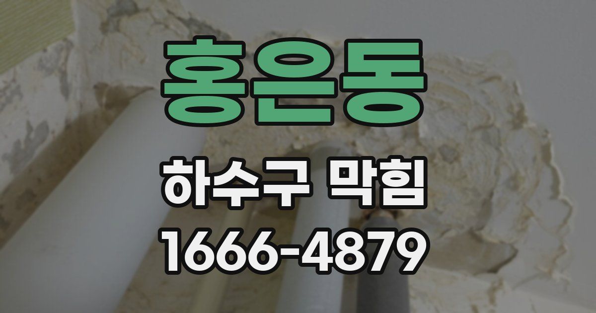 홍은동 하수구 막힘