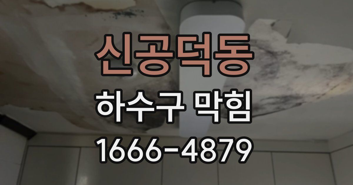 신공덕동 하수구 막힘