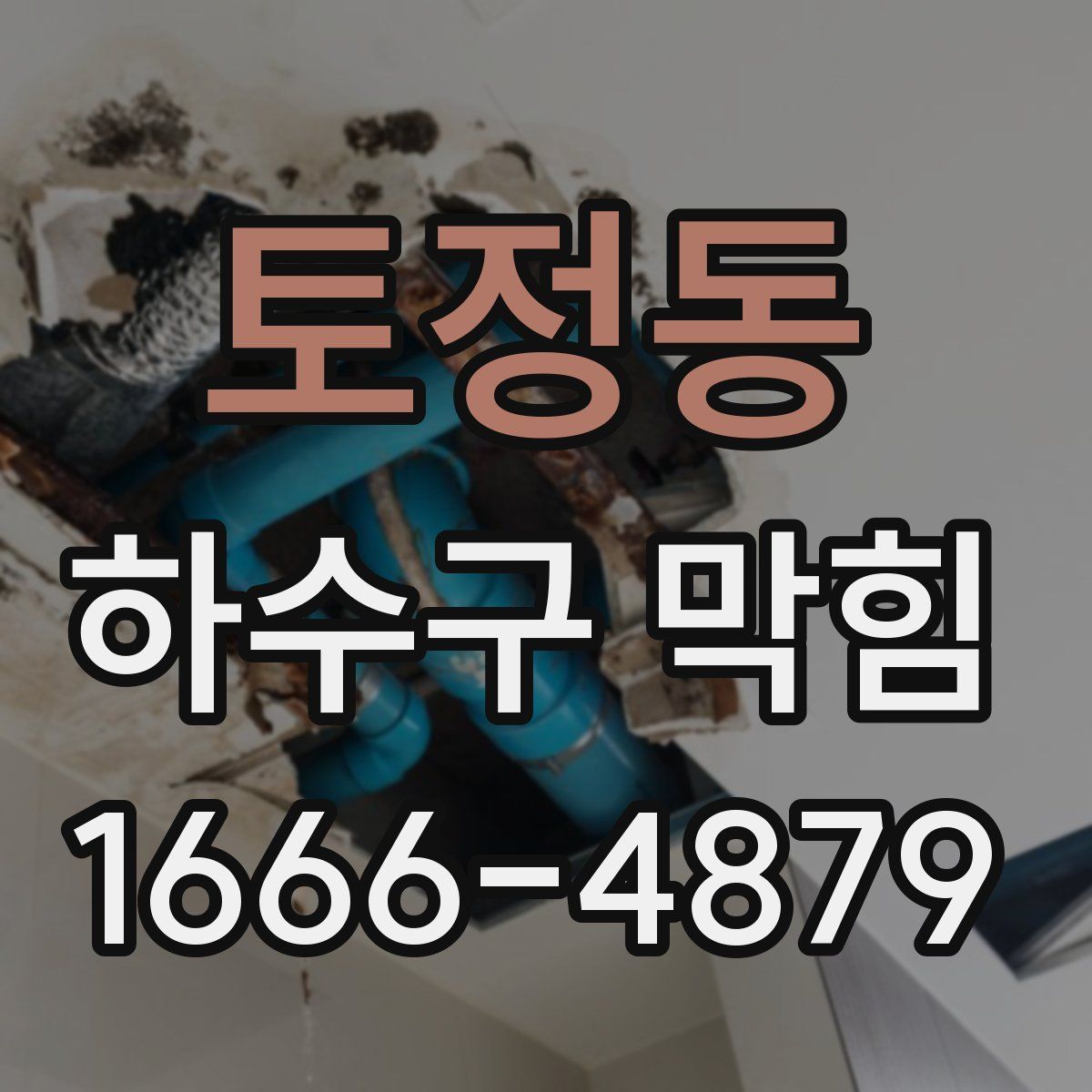 토정동 하수구 막힘