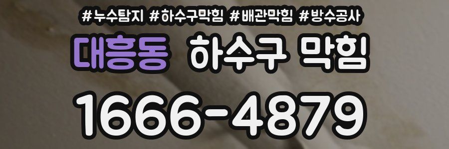 대흥동 하수구 막힘