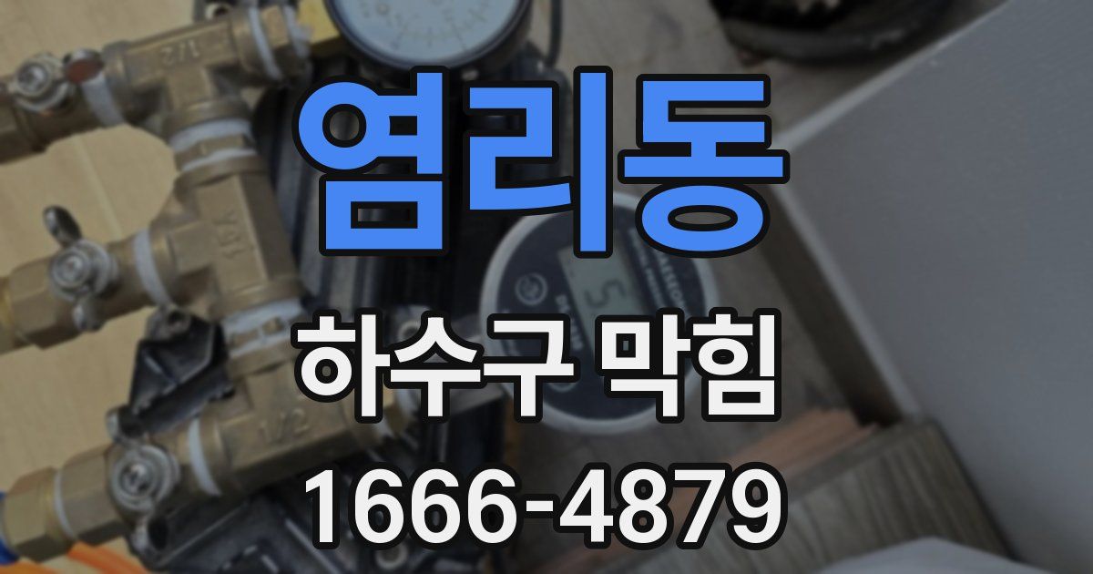 염리동 하수구 막힘