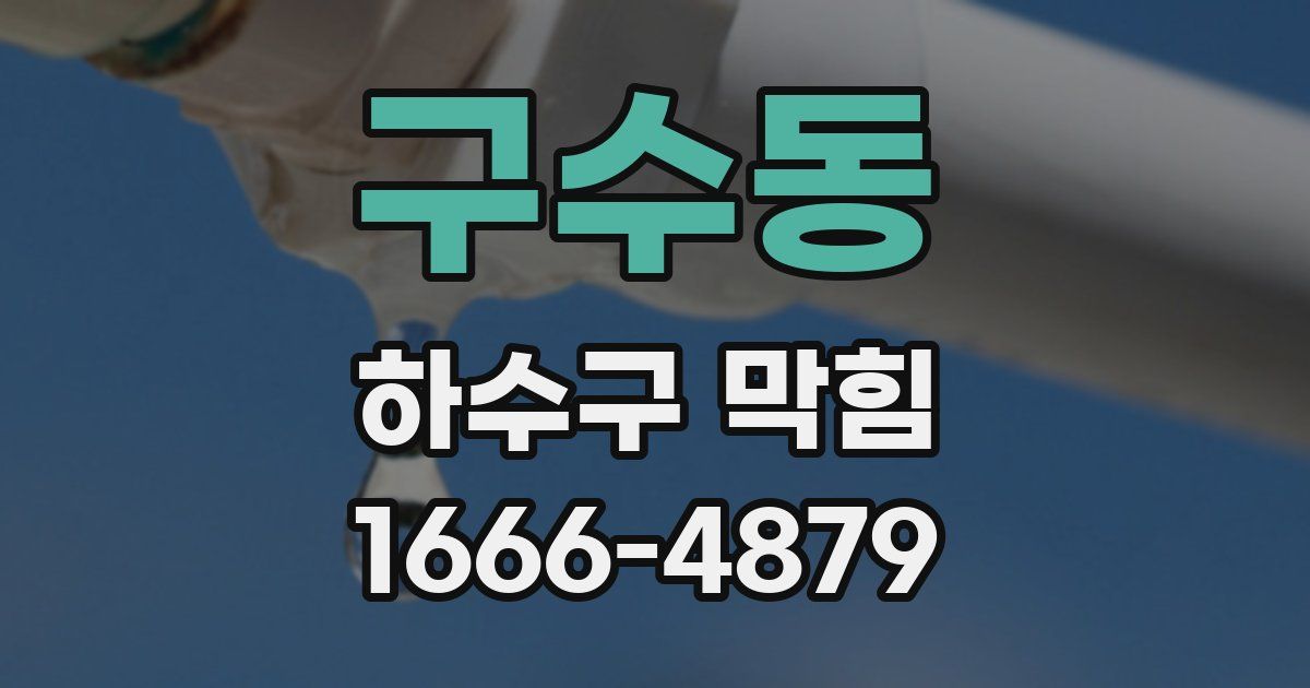 구수동 하수구 막힘