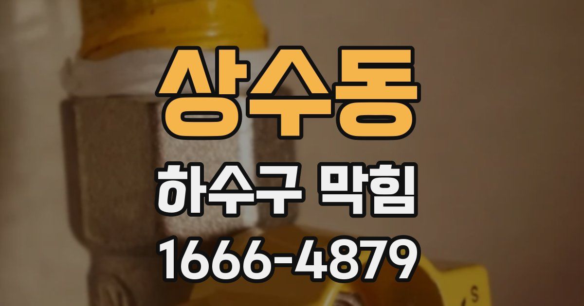상수동 하수구 막힘