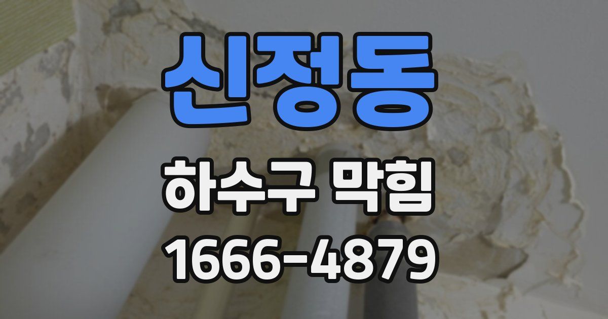 신정동 하수구 막힘