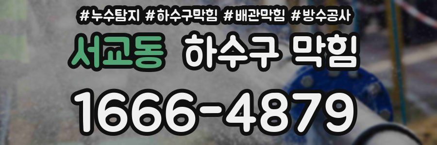 서교동 하수구 막힘