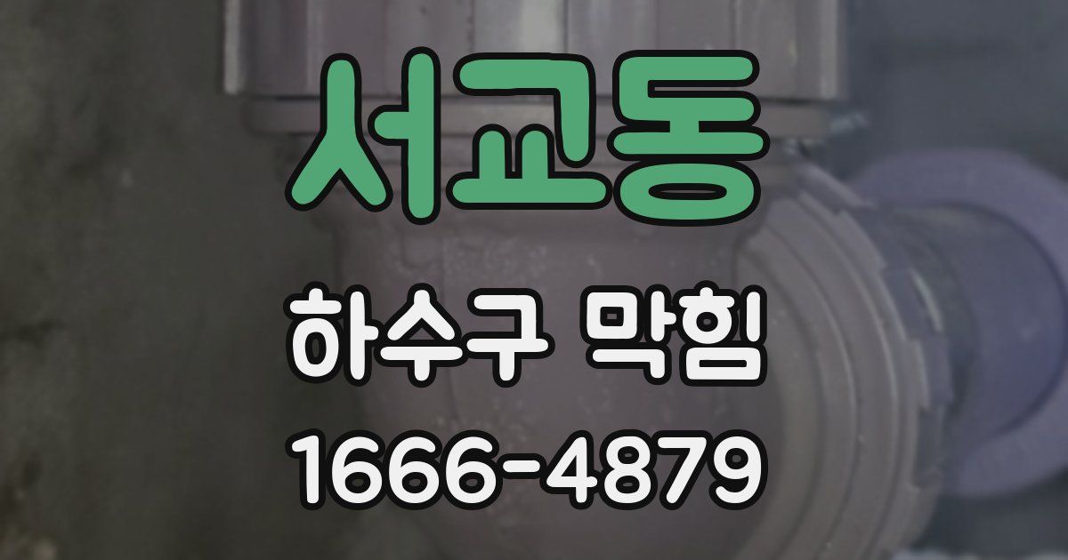 서교동 하수구 막힘