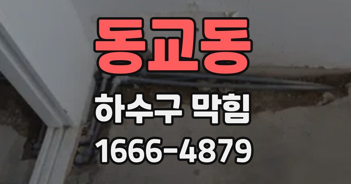 동교동 하수구 막힘