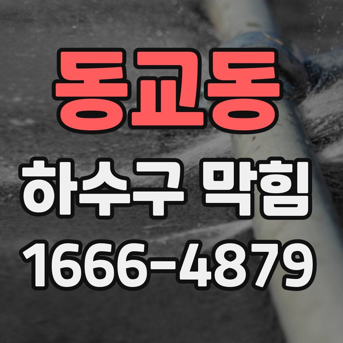 동교동 하수구 막힘