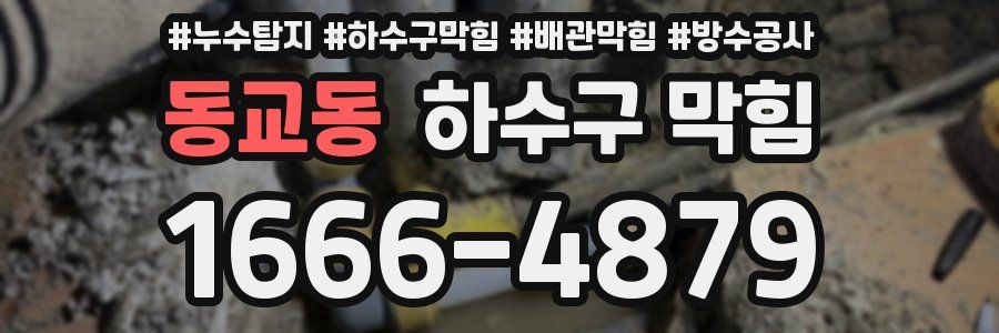 동교동 하수구 막힘