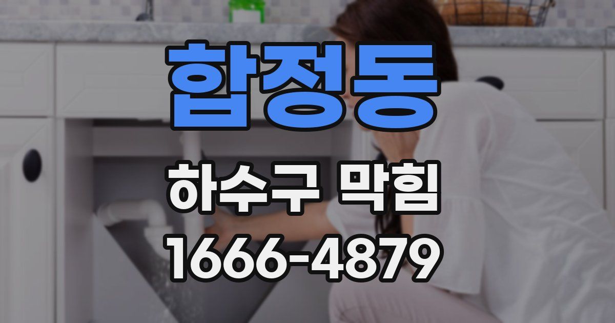 합정동 하수구 막힘