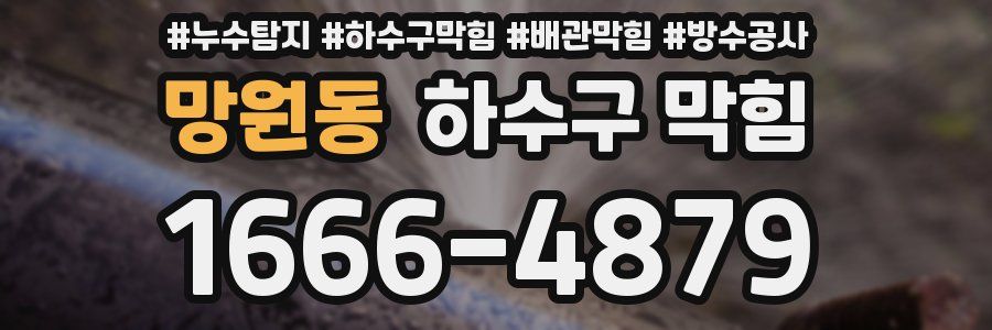망원동 하수구 막힘