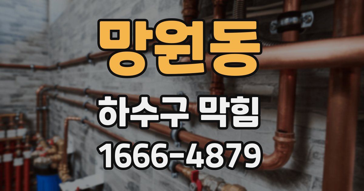 망원동 하수구 막힘