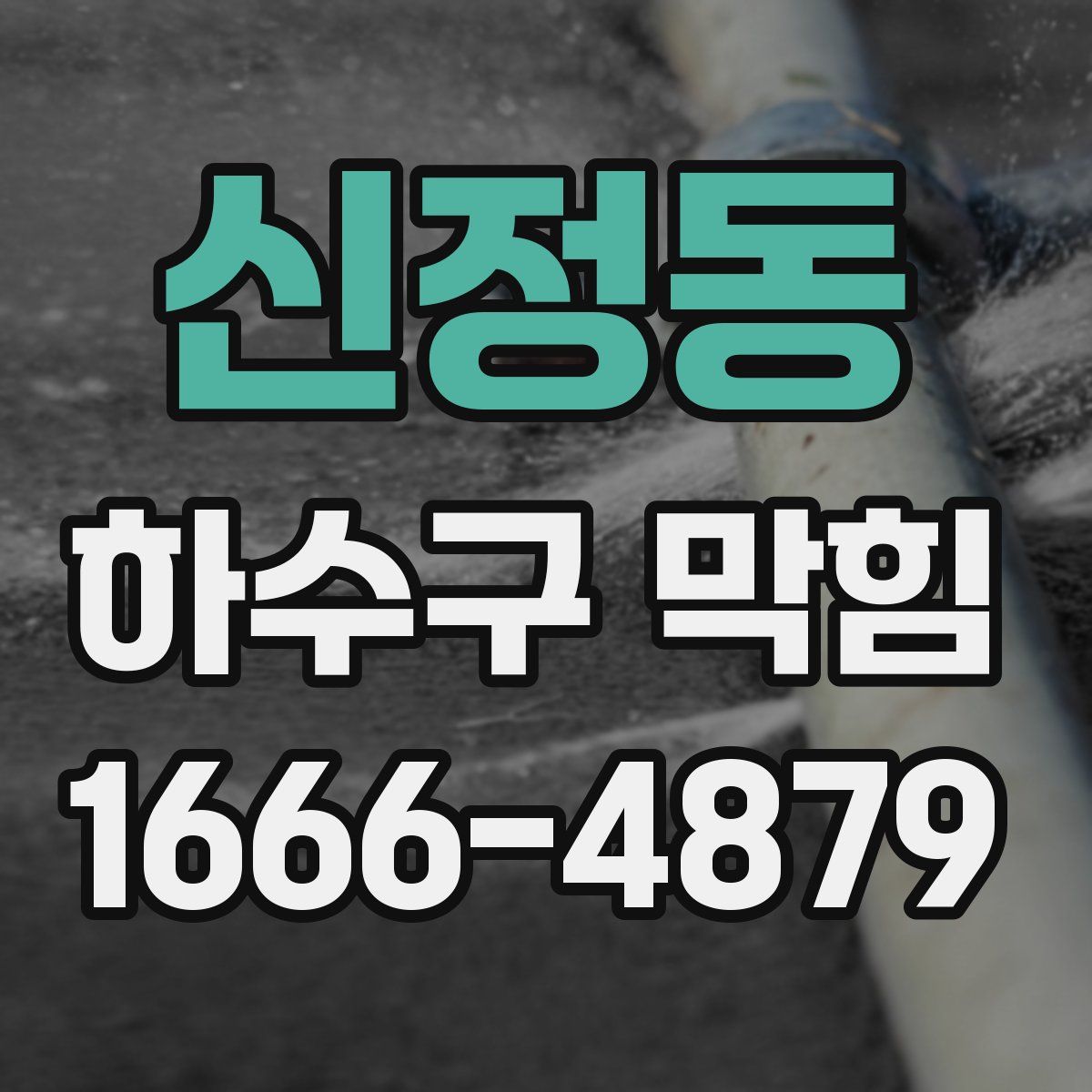 신정동 하수구 막힘