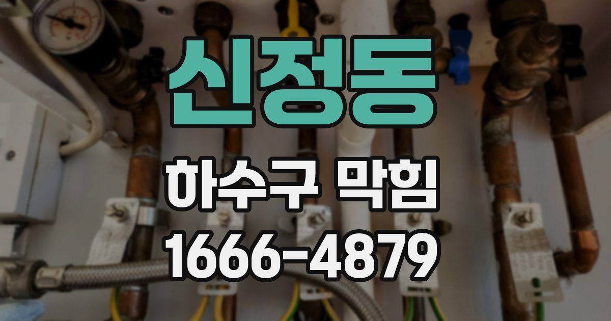 신정동 하수구 막힘