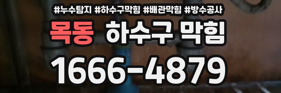 목동 하수구 막힘