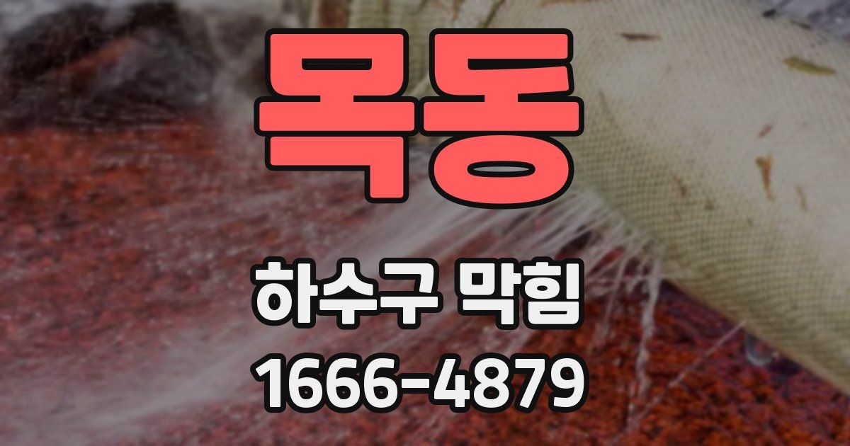 목동 하수구 막힘