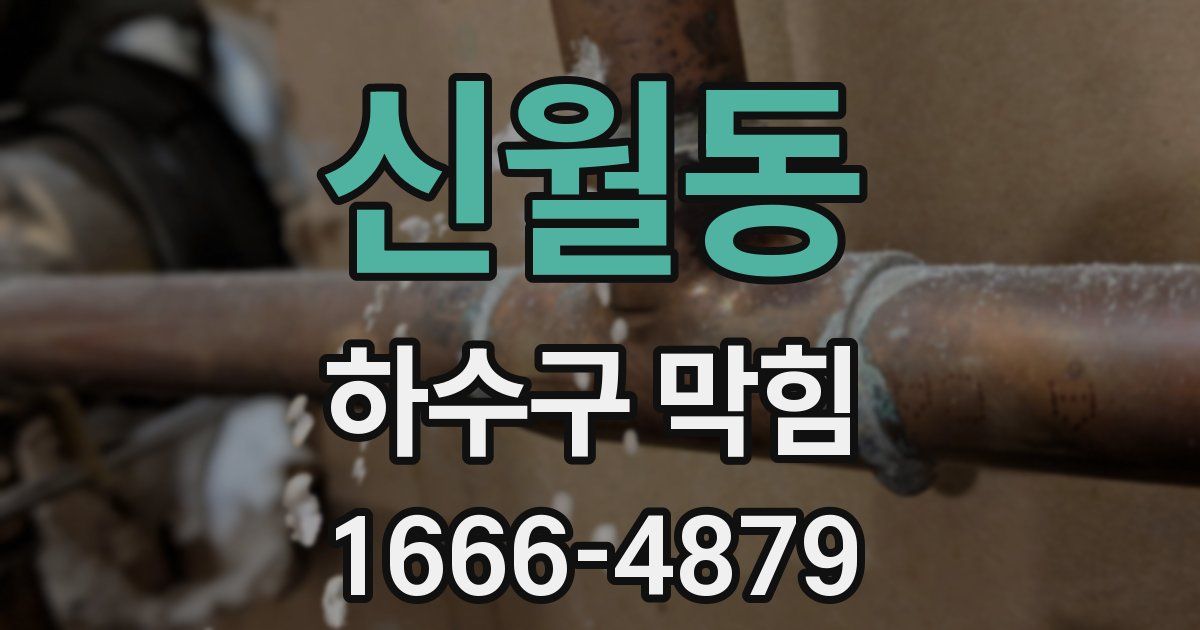 신월동 하수구 막힘