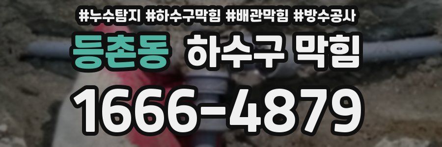 등촌동 하수구 막힘