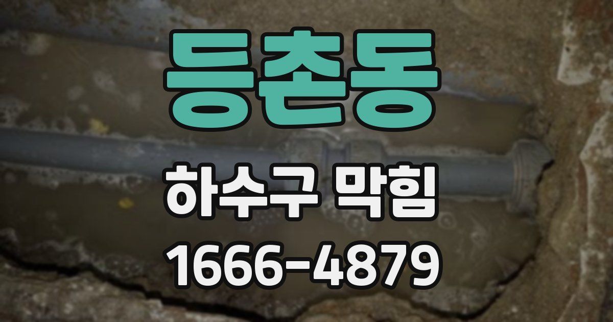 등촌동 하수구 막힘