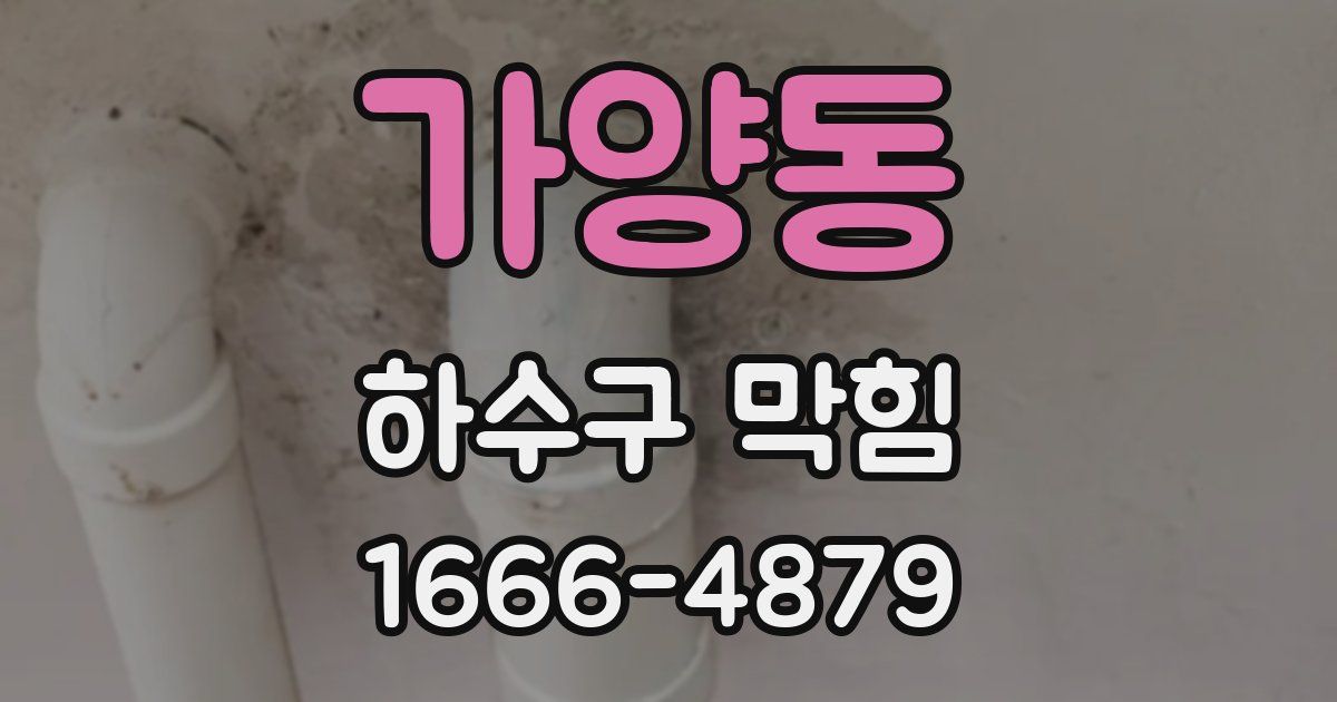 가양동 하수구 막힘