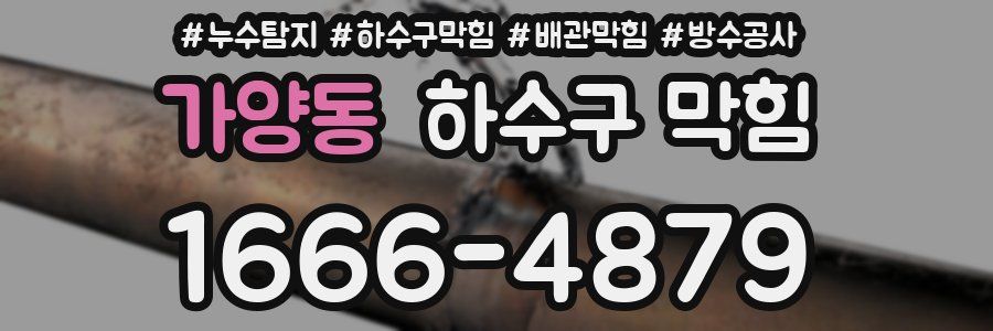 가양동 하수구 막힘