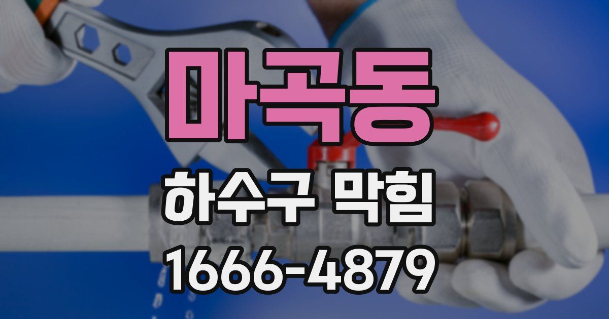 마곡동 하수구 막힘