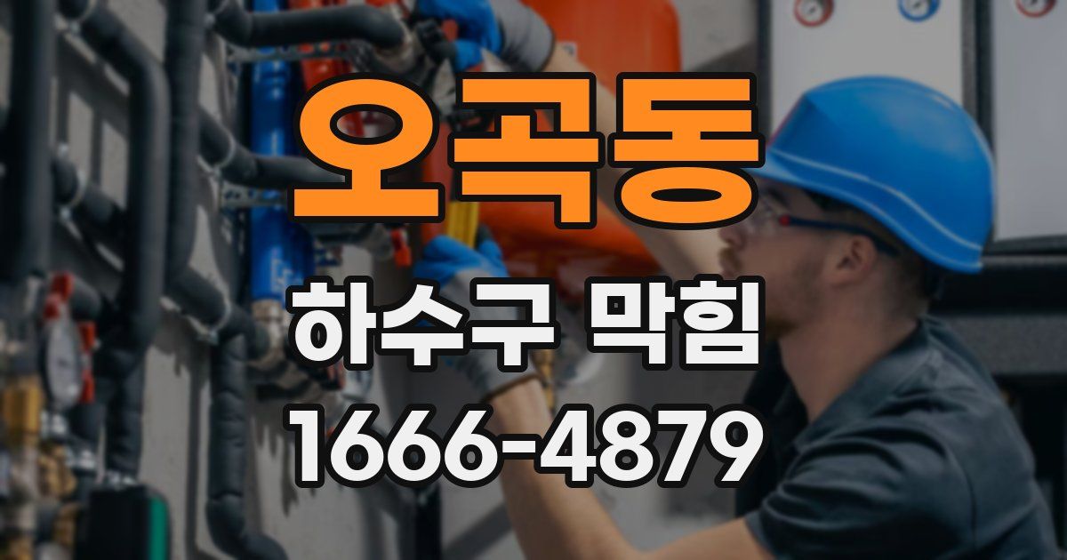 오곡동 하수구 막힘