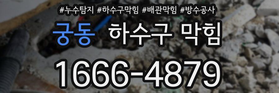 궁동 하수구 막힘